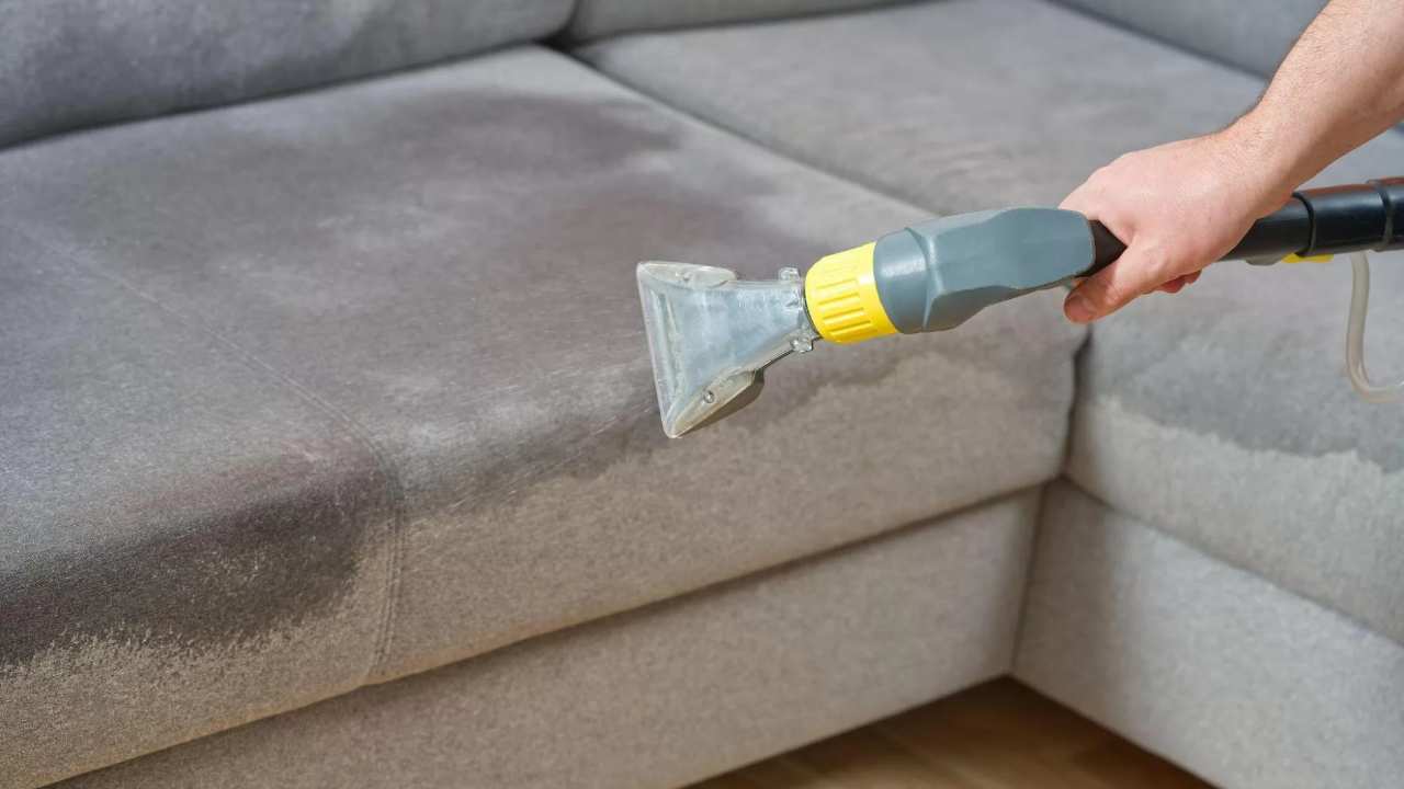Cleaning sofas, mattresses, carpets, stain shield, car upholstery and more.