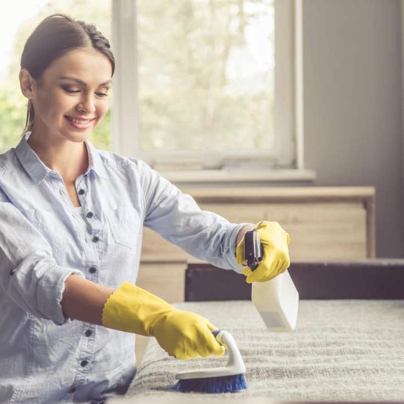 Cómo quitar el olor de la orina y las manchas de orina del sofá