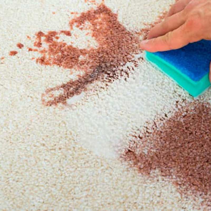 Cómo eliminar la sangre del sofá